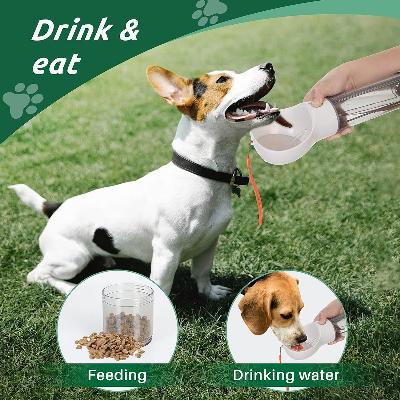 portable 3 in 1 pets water bottle
